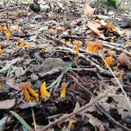 公寓 O'coeur De La Roche - Jacuzzi Et Hammam Privatif *