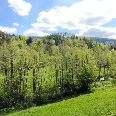O'coeur De La Roche - Jacuzzi Et Hammam Privatif 公寓 Saint-Blaise-la-Roche