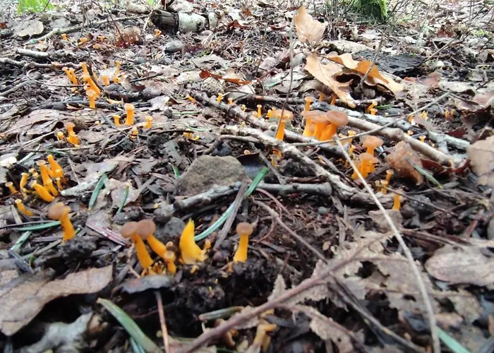 Apartment O'coeur De La Roche - Jacuzzi Et Hammam Privatif *