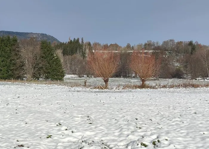 O'coeur De La Roche - Jacuzzi Et Hammam Privatif Saint-Blaise-la-Roche