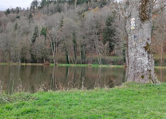 O'coeur De La Roche - Jacuzzi Et Hammam Privatif *